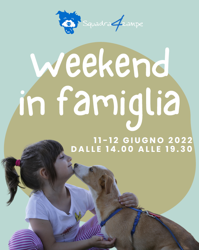 Weekend in famiglia - squadra 4 zampe